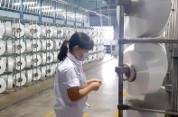 Xơ sợi polyester Đình Vũ chưa qua cơn “bạo bệnh”