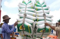 Xuất khẩu gạo lội ngược dòng