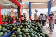 Bị áp thuế, hàng loạt doanh nghiệp giống nông nghiệp kêu cứu: VSTA quyết liệt phản biện hải quan