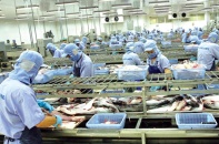 Chuyện mã số mã vạch với hàng xuất khẩu: Giờ không phải lúc nghĩ cách làm khó doanh nghiệp