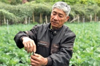 Làm giàu từ nông nghiệp công nghệ cao
