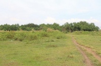 Tháo “vòng kim cô” cho doanh nghiệp bất động sản