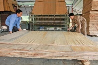 Ngành gỗ: Minh bạch xuất xứ để tránh rủi ro