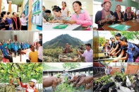 Tăng cường hiệu quả tín dụng chính sách