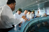 Dốc sức chống suy giảm kinh tế - Bài 3: Chủ động hoạch định tương lai