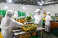 Chính phủ "giải cứu" doanh nghiệp nhìn từ vụ việc Vinamit