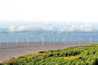 Phát triển điện gió: Khó càng thêm khó