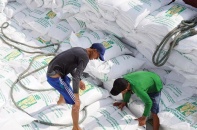 Quy trình phân bổ 80.000 tấn gạo trong EVFTA