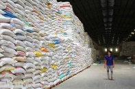 Gạo Việt tìm đường thâm nhập thị trường châu Âu