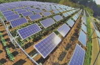 Ồ ạt đầu tư vào điện mặt trời áp mái: Trả giá cho sự hào hứng