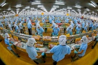 Kịch bản kinh tế 2020: Động lực vượt lên, bứt phá