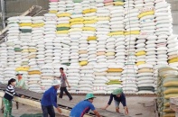 Hàng Việt xuất ngoại: Không có thị trường nào dễ tính