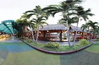 Băm nát đất nông nghiệp vùng ven TP.HCM - Bài 1: Những bức tranh nham nhở