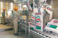 Từng là tâm điểm được giới đầu tư, vì sao cổ phiếu DGC chững lại?