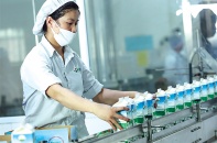 Doanh nghiệp ngành sữa: Khó thoát lỗ khi chơi trên “sân cũ”