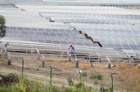 Điện mặt trời hết giá cố định lại chuyển sang thí điểm