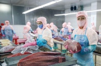 Kinh tế 5 năm và cú sốc Covid-19 - Bài 2: Chỉ tiêu mới, động lực mới 2021