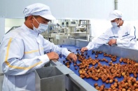Sơn La đầu tư mạnh cho chế biến nông sản