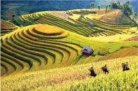 Yên Bái cơ cấu lại nông nghiệp gắn với xây dựng nông thôn mới