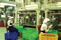 FTA không chỉ mang lại cơ hội