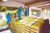 Xi măng dư thừa, lại thêm lính mới