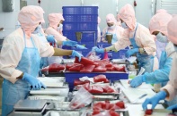 “Ông lớn” ngành thủy sản tìm cơ hội trong gian nan