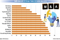 Sức bật M&A trong trạng thái “bình thường mới”