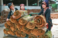 Yên Bái tăng lực hấp dẫn thu hút nhà đầu tư