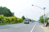 Đồng bằng sông Cửu Long - "Bến đỗ" mới của các doanh nghiệp địa ốc