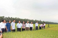An Giang đổi mới mạnh mẽ mô hình tăng trưởng nông nghiệp