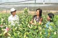 Lạng Sơn ứng dụng công nghệ cao trong phát triển nông nghiệp