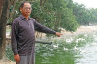 Mai Văn Sơn -  “Ông vịt” OCOP 3 sao của Nam Định
