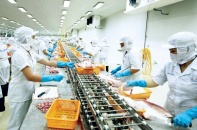 Thủy sản, trái cây lo “tắc đường” sang Trung Quốc