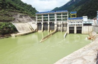 Câu hỏi về dòng tiền và năng lực của Vietrancimex trong các dự án năng lượng