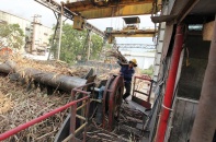 Nhiều doanh nghiệp mía đường thê thảm rời “cuộc chơi”