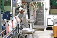 Thị trường thức ăn chăn nuôi Việt Nam: Nhà đầu tư ngoại tăng tốc xây nhà máy mới
