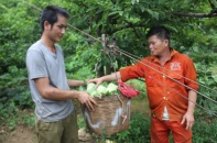 Lạng Sơn: Ứng dụng khoa học - công nghệ để phát triển sản phẩm chủ lực