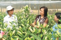Lạng Sơn ứng dụng công nghệ để cải thiện môi trường đầu tư, kinh doanh