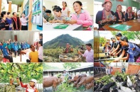 Giảm nghèo bằng “cả trí tuệ và trái tim”