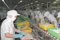 An Giang mời gọi đầu tư, hình thành doanh nghiệp dẫn dắt