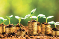 Tín hiệu sôi động trở lại của trái phiếu xanh