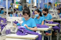 Hanosimex lỗ năm thứ 2 liên tiếp 