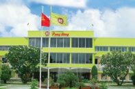 Nối dài chuỗi khủng hoảng, toàn bộ Hội đồng quản trị Rạng Đông Holding xin từ nhiệm