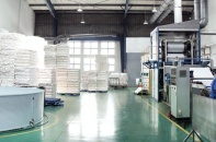 Bông Bạch Tuyết chuẩn bị phát hành 9,8 triệu cổ phiếu