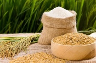 Cổ phiếu đang bị hạn chế giao dịch, VinhLongFood (VLF) lại nhận thêm án phạt