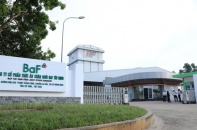 BAF Việt Nam: Giá heo giảm, chi phí tăng cao đẩy lợi nhuận quý III lao dốc