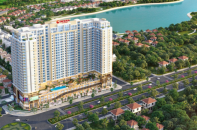 Dicera Holdings nhận án phạt hơn nửa tỷ đồng