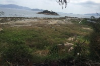 Khánh Hòa: Chấm dứt hoạt động dự án Nha Trang Sao