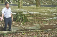 Quảng Trị: Hơn 1.600 tỷ đồng ứng phó với sạt lở, biến đổi khí hậu