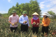 Xây dựng Cam Lộ trở thành huyện đầu tiên của Quảng Trị đạt chuẩn nông thôn mới